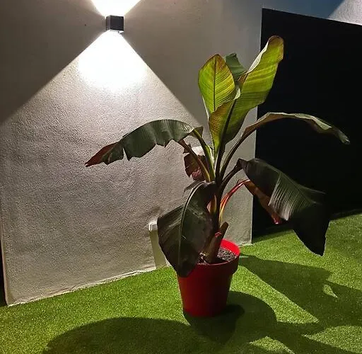 Willa Catalya Moderne Piscine Chauffee *